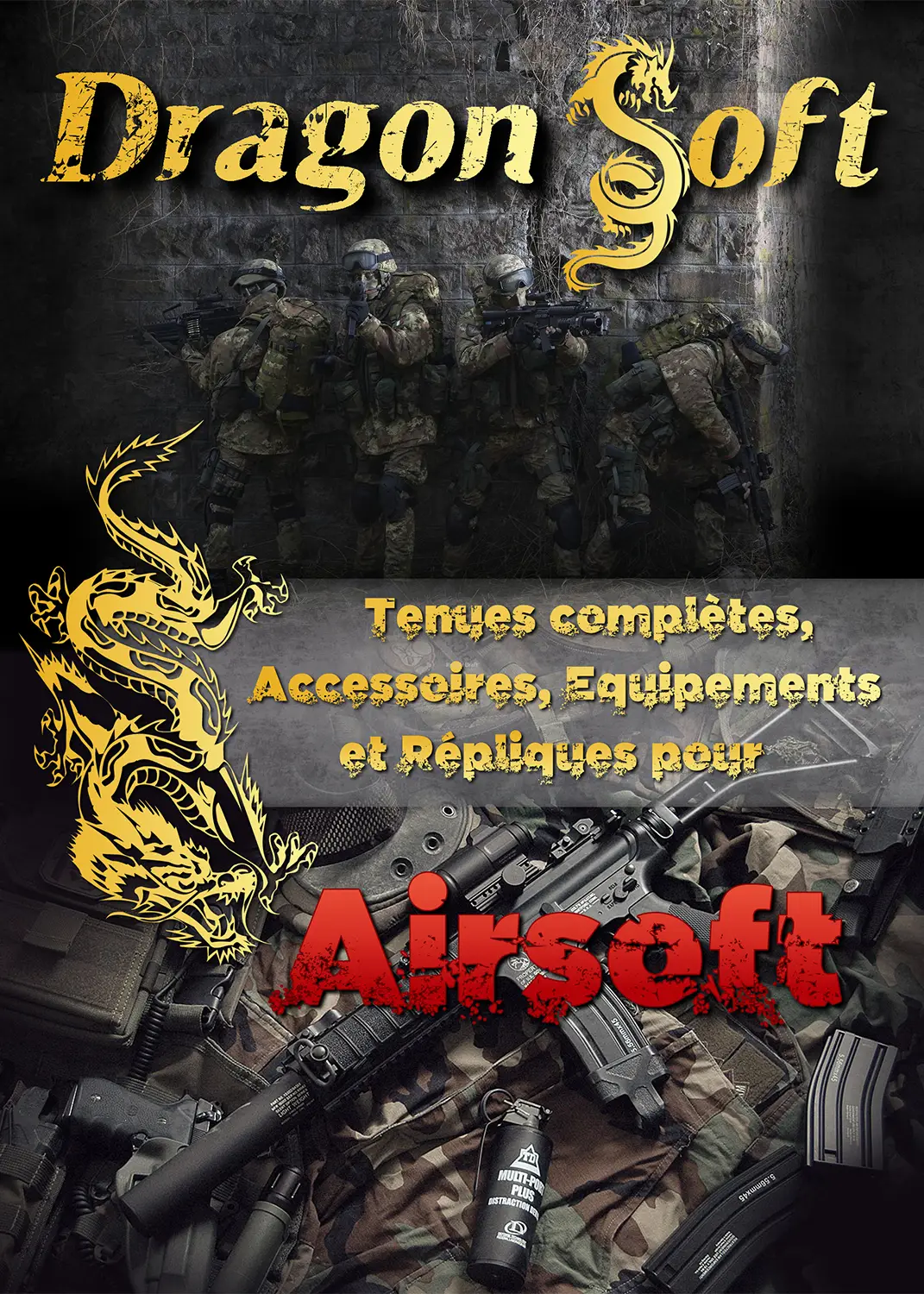 Dragon Soft N12A Webdesigner Freelance NICE