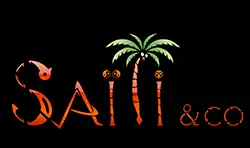 Saiti N12A Webdesigner Freelance NICE